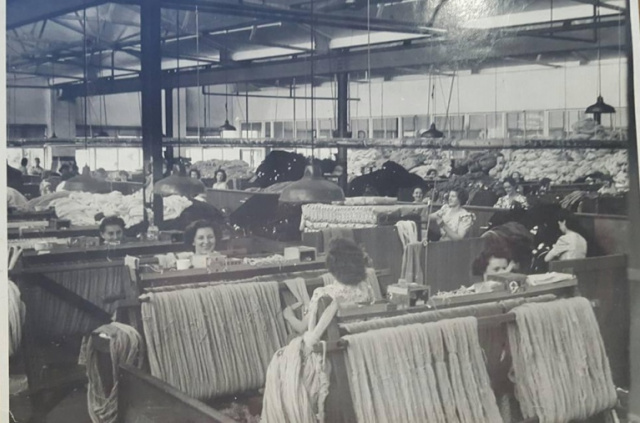 22405962 1422232684561484 3519608492961049703 n