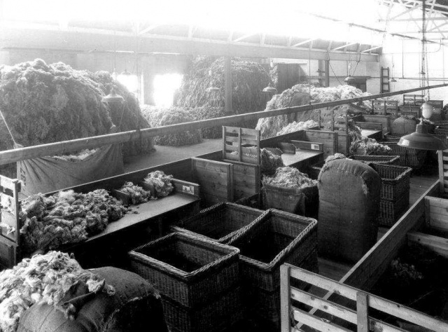 22490001 1425641500887269 9170029890632037264 n