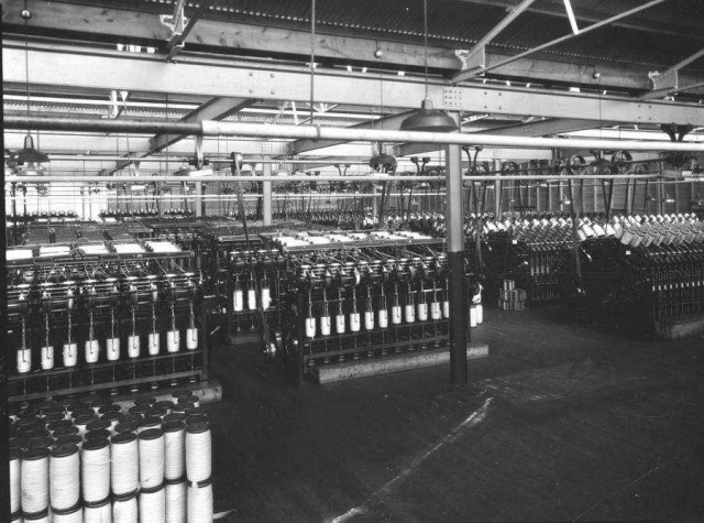 22519296 1425637754220977 5888889470171612373 n