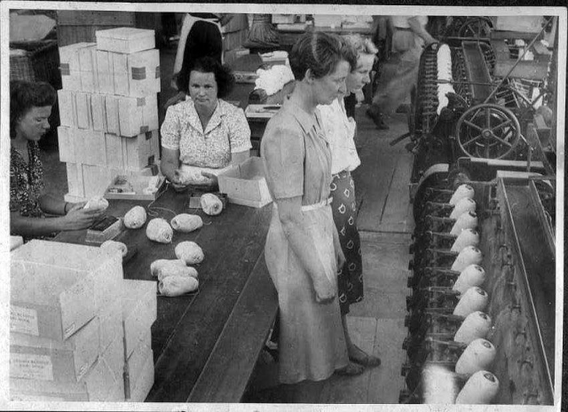 22528132 1424842994300453 8165085029486320275 n